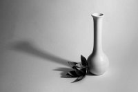 3. Jana Knapiková Bílá váza